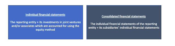 Difference between individual financial statements and consolidated financial statements