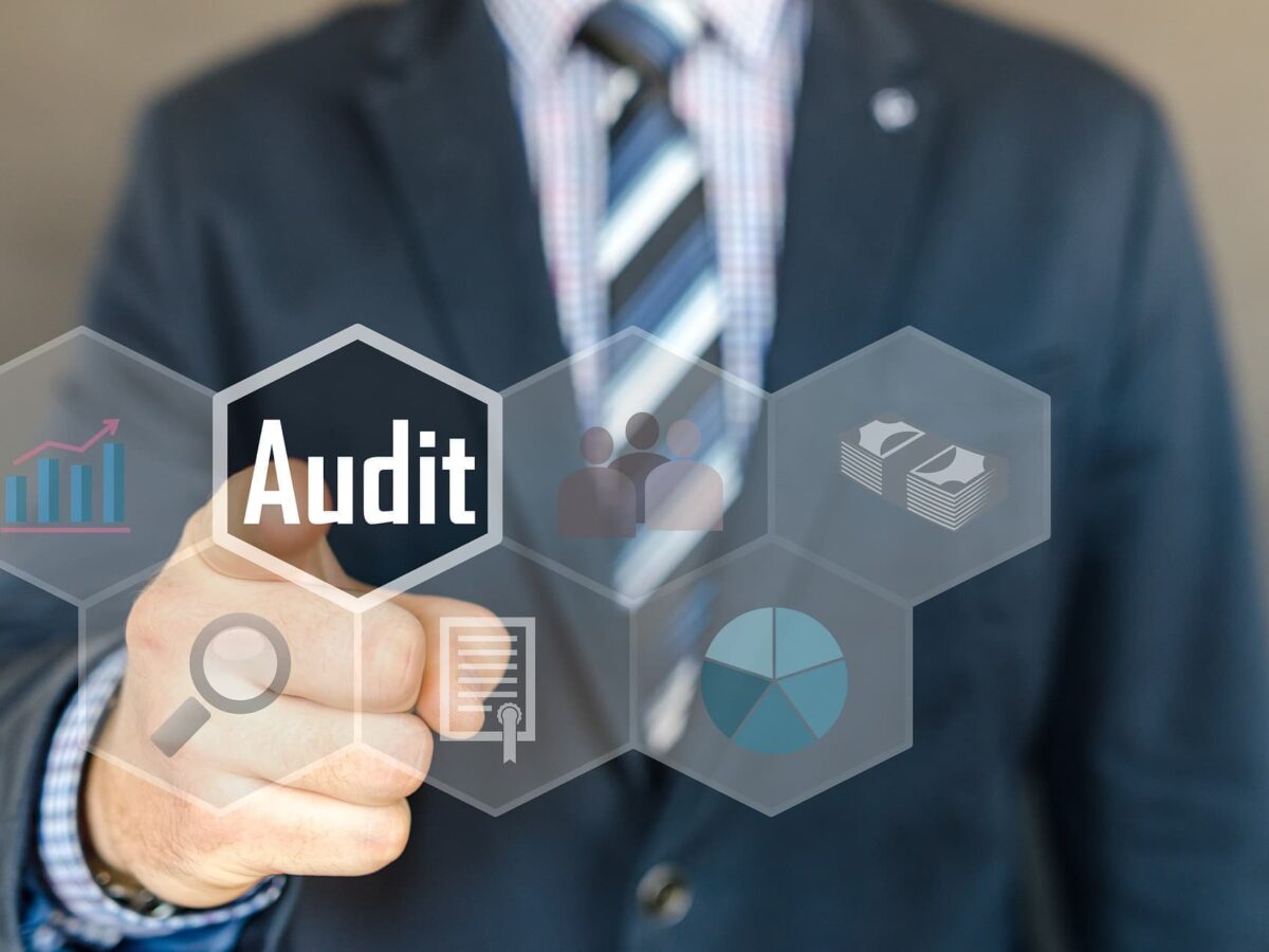 Understand who is auditor and what are their roles in the audit of company’s financial statements